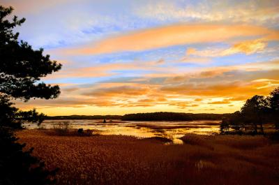 Open & Bright 3BD--Incredible Tidal Marsh Views, A/C, Outdoor Shower, Big Deck