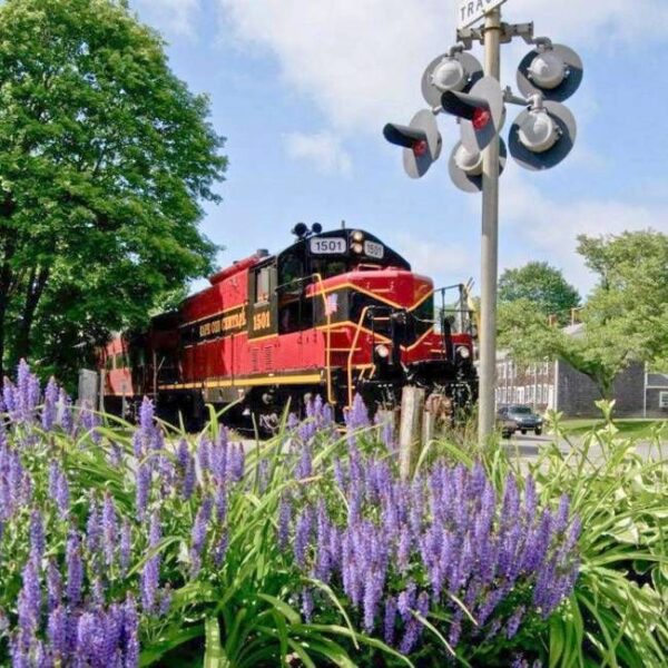 Cape Cod Central Rail Road Easter Train