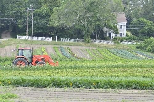 Cape Cod Organic Farm